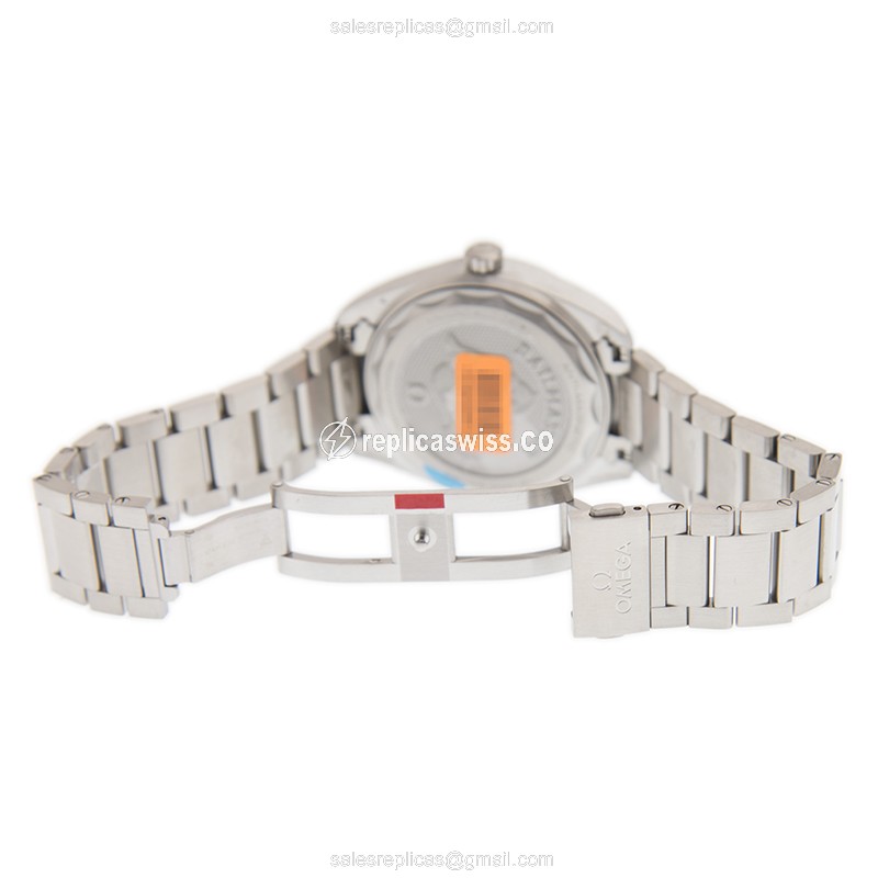 Omega 220.10.40.20.06.001 RAILMASTER Automatic Stainless Steel