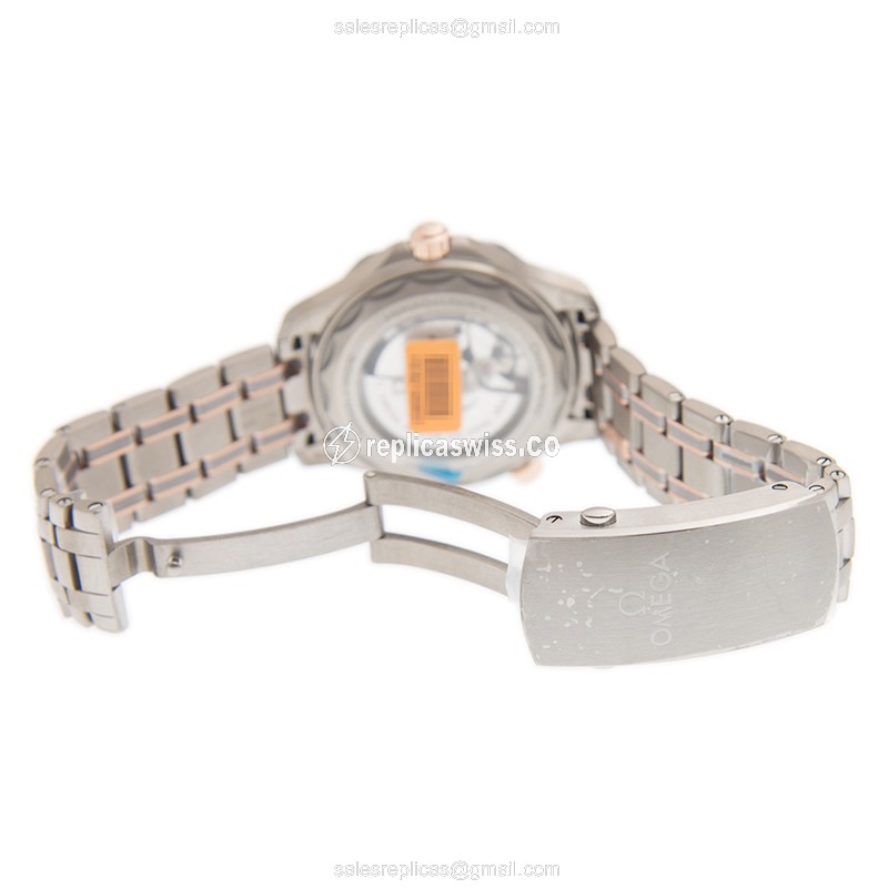 Omega 210.60.42.20.99.001 SEAMASTER Automatic Titanium & 18kt Rose Gold